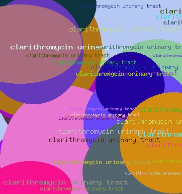 Clarithromycin urinary tract